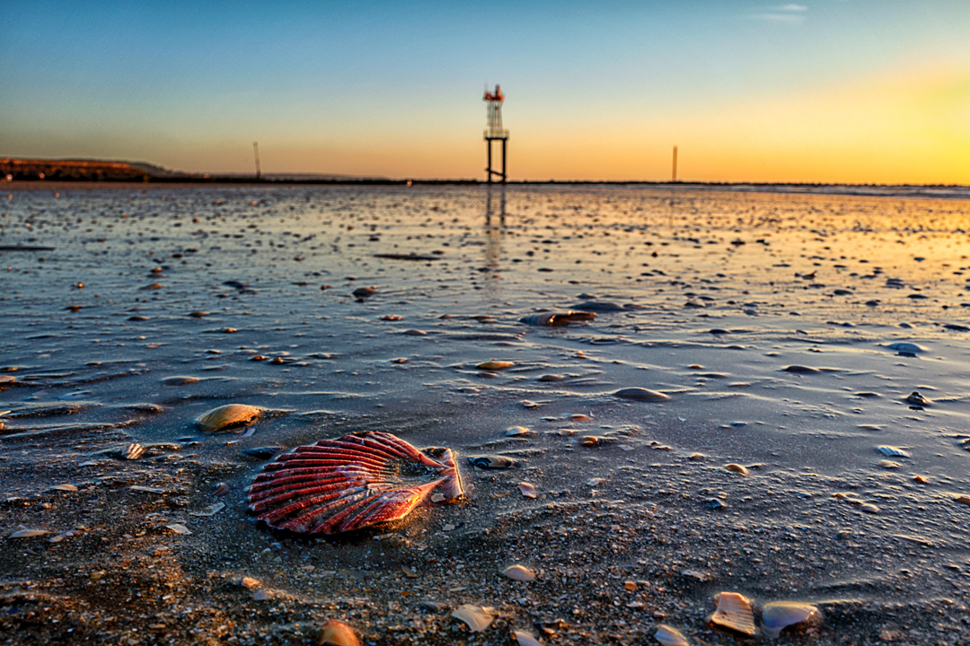 Strand zur blauen Stunde