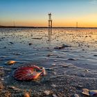 Strand zur blauen Stunde