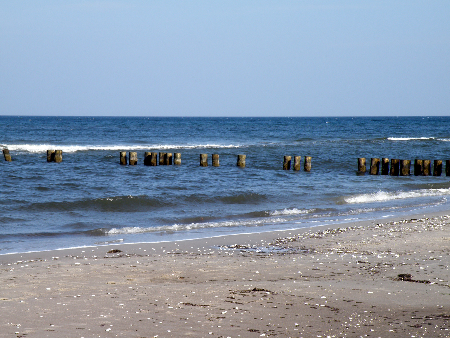 Strand zwischen Zingst und Prerow