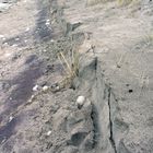 Strandabbruch nach dem Sturm