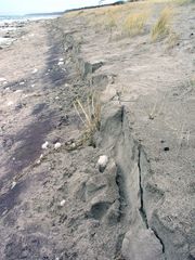 Strandabbruch nach dem Sturm