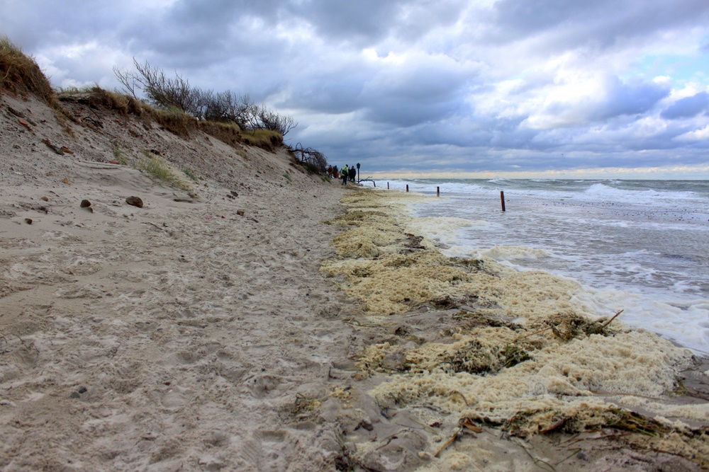 Strandabschnitt