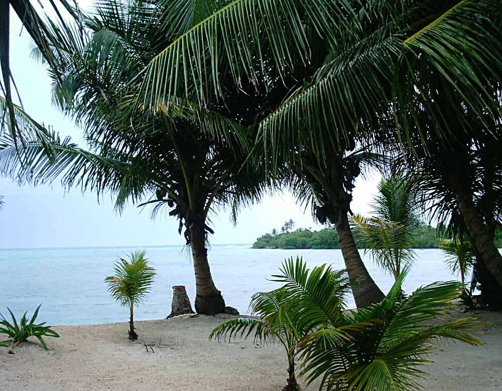 Strandabschnitt in der Nähe von Tulum, Mexiko