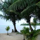 Strandabschnitt in der Nähe von Tulum, Mexiko