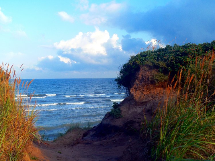 Strandabschnitt Wustrow