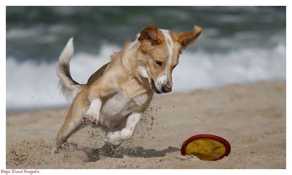 Strandaction!