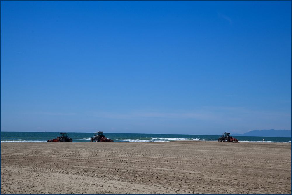 Strandaktivität