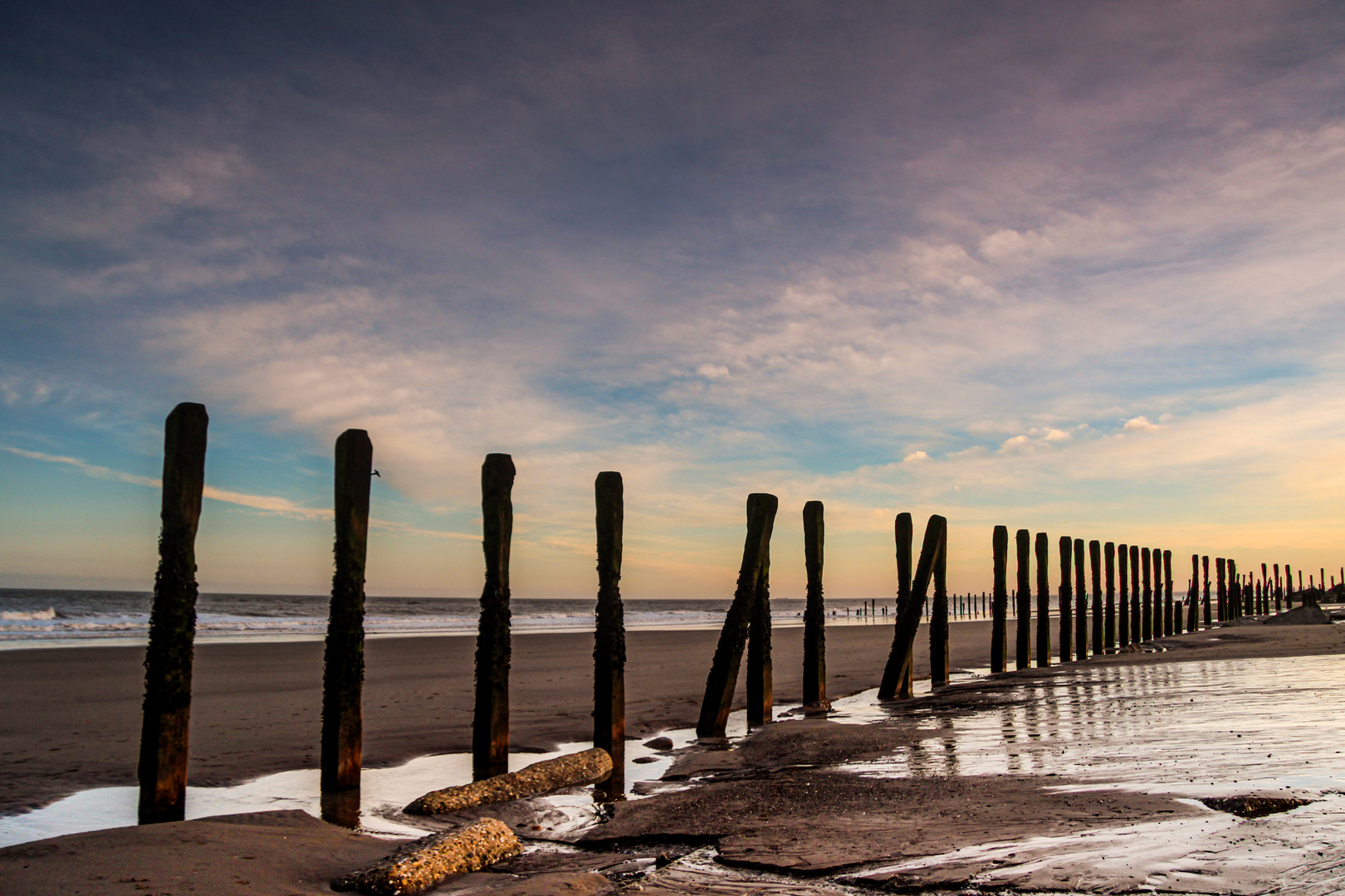 …Strandartefakte No.1…