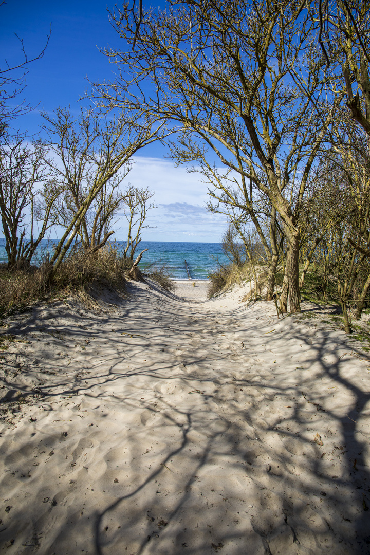 Strandaufgang Graal Müritz