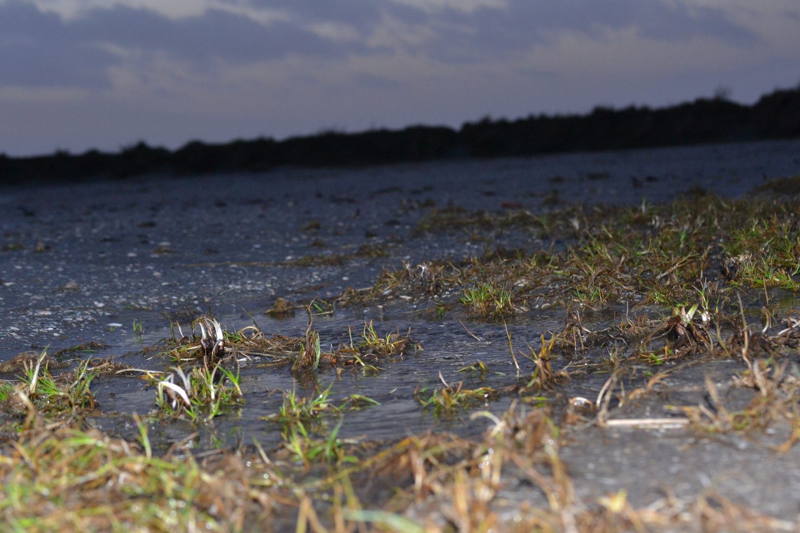 Strandausschnitt nach der Flut