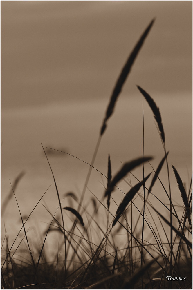 Strandaussicht