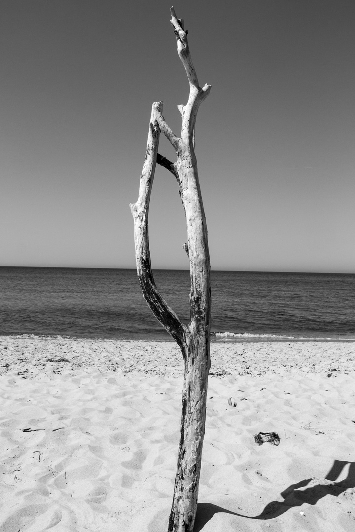 Strandballett