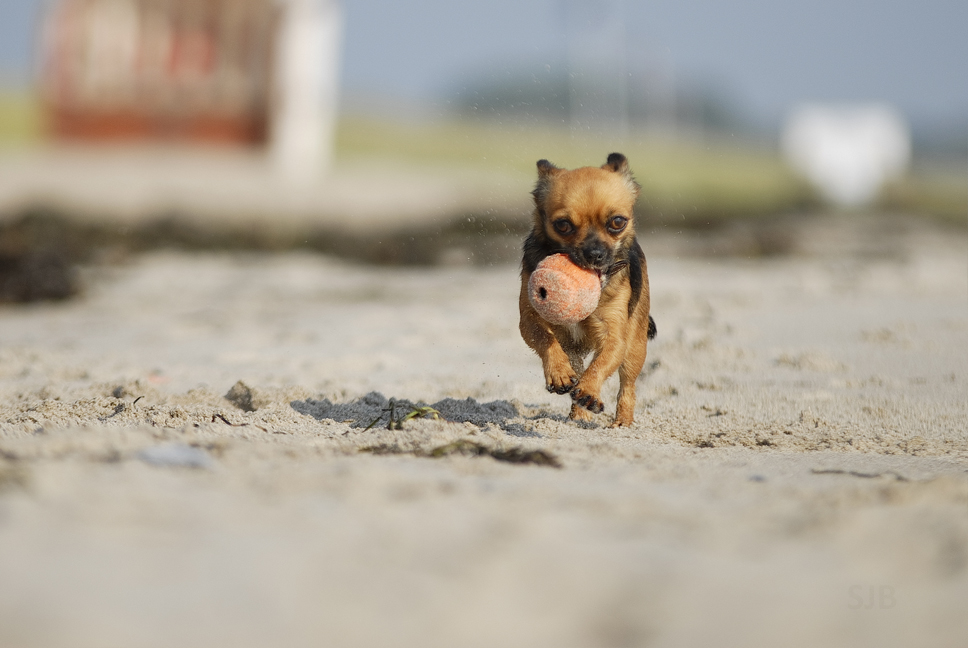 Strandballspiel