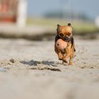 Strandballspiel