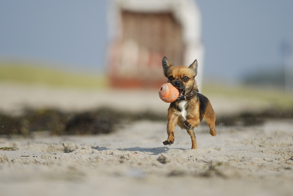 Strandballspiel II