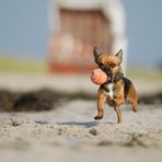 Strandballspiel II