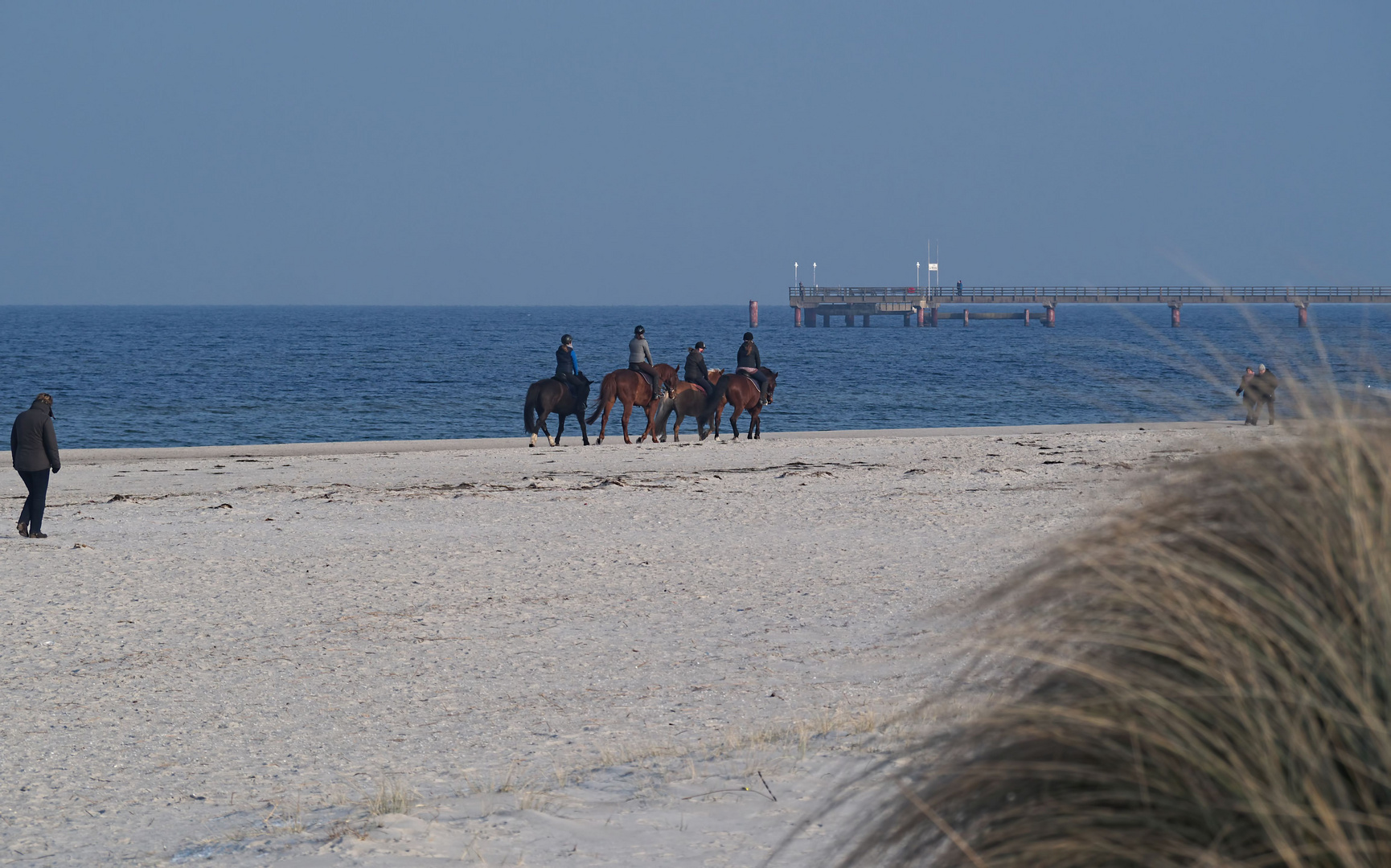 Strandbegegnungen