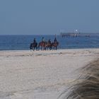 Strandbegegnungen