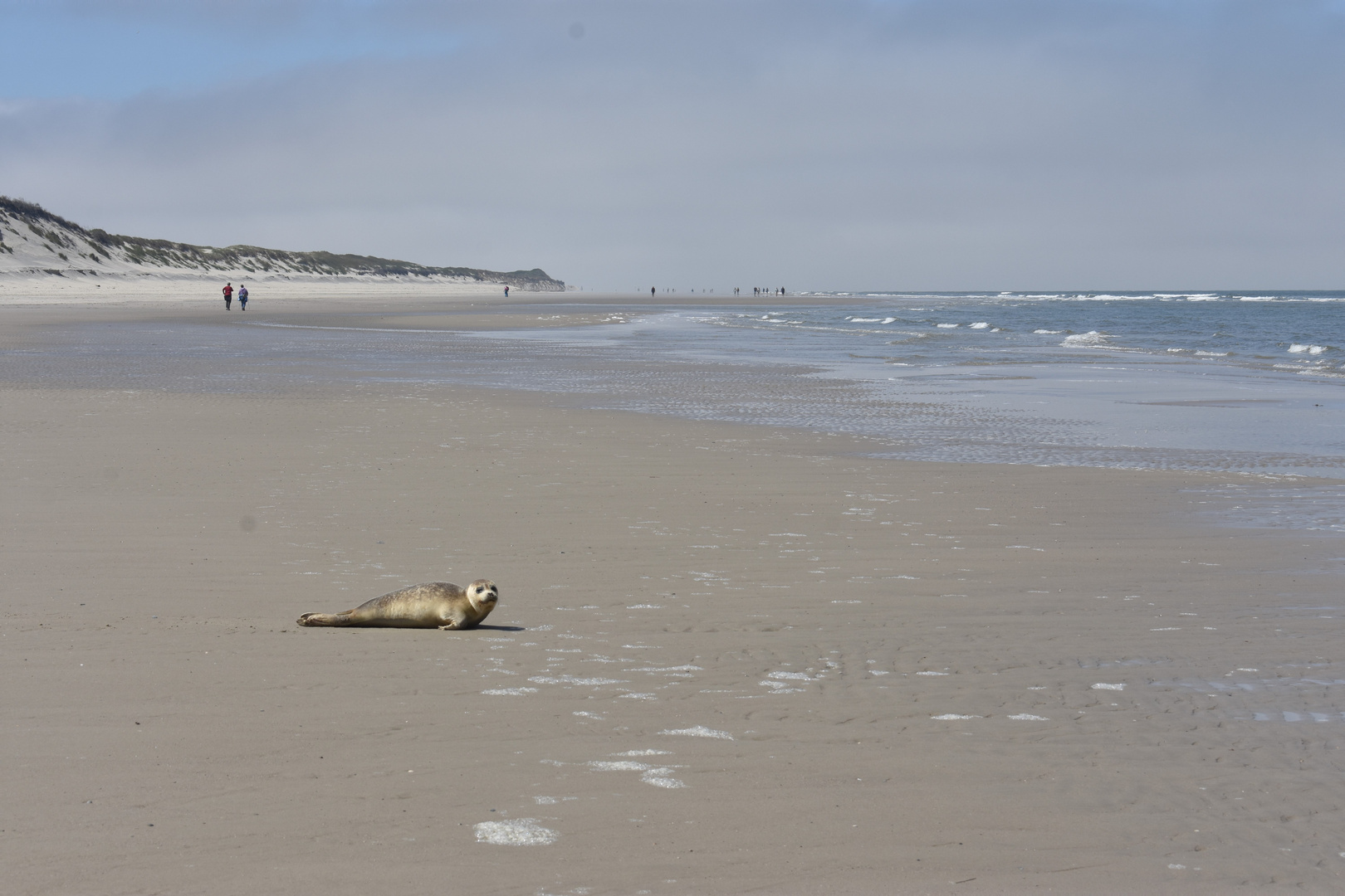 Strandbegegnungen - Langeoog