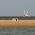 Strandbegegung 1 