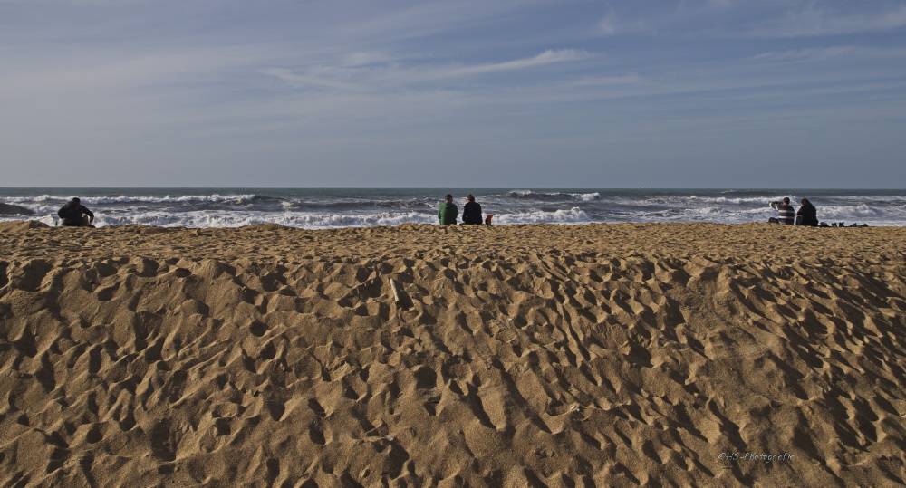 Strandbeobachtung....