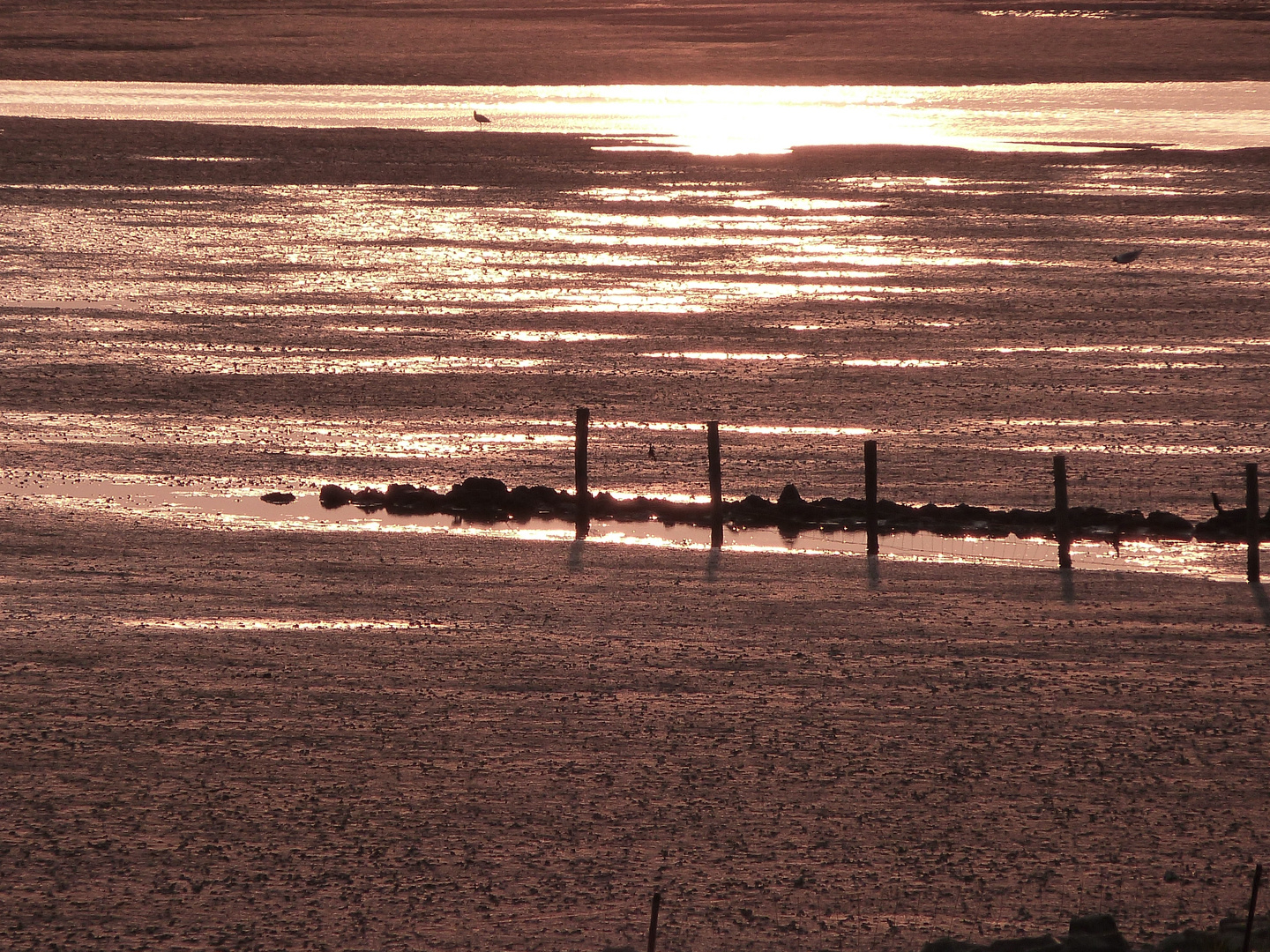 Strandbeschaulichkeit