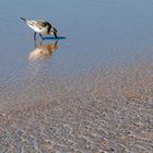 Strandbesuch