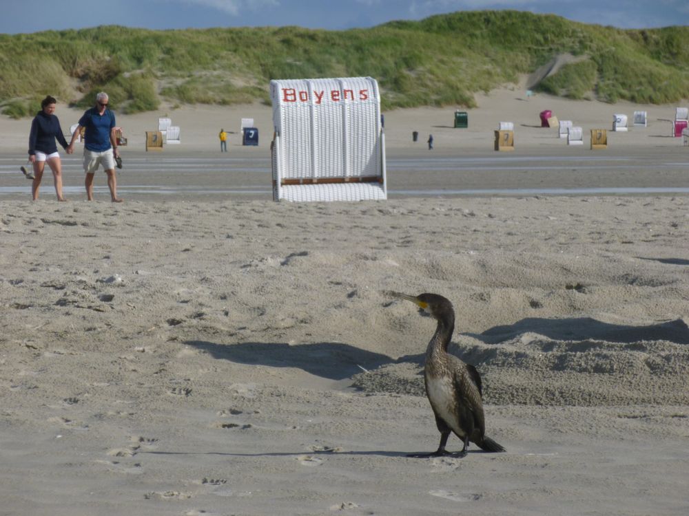 Strandbesuch