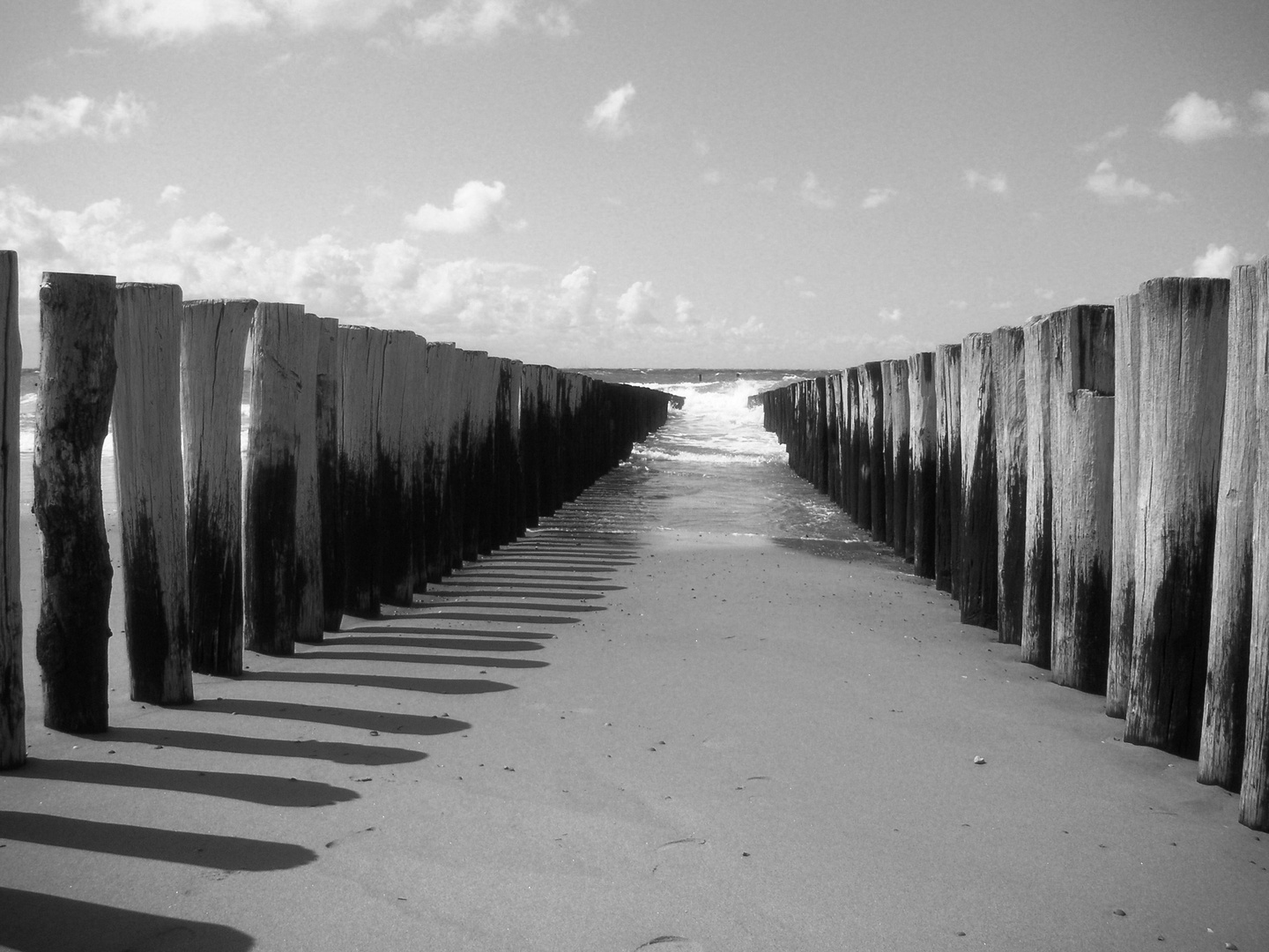 Strandbesuch