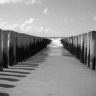 Strandbesuch