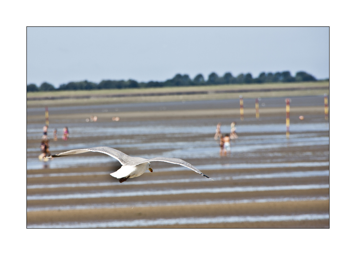 Strandbesuch