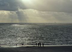 Strandbesuch