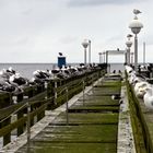 Strandbesucher