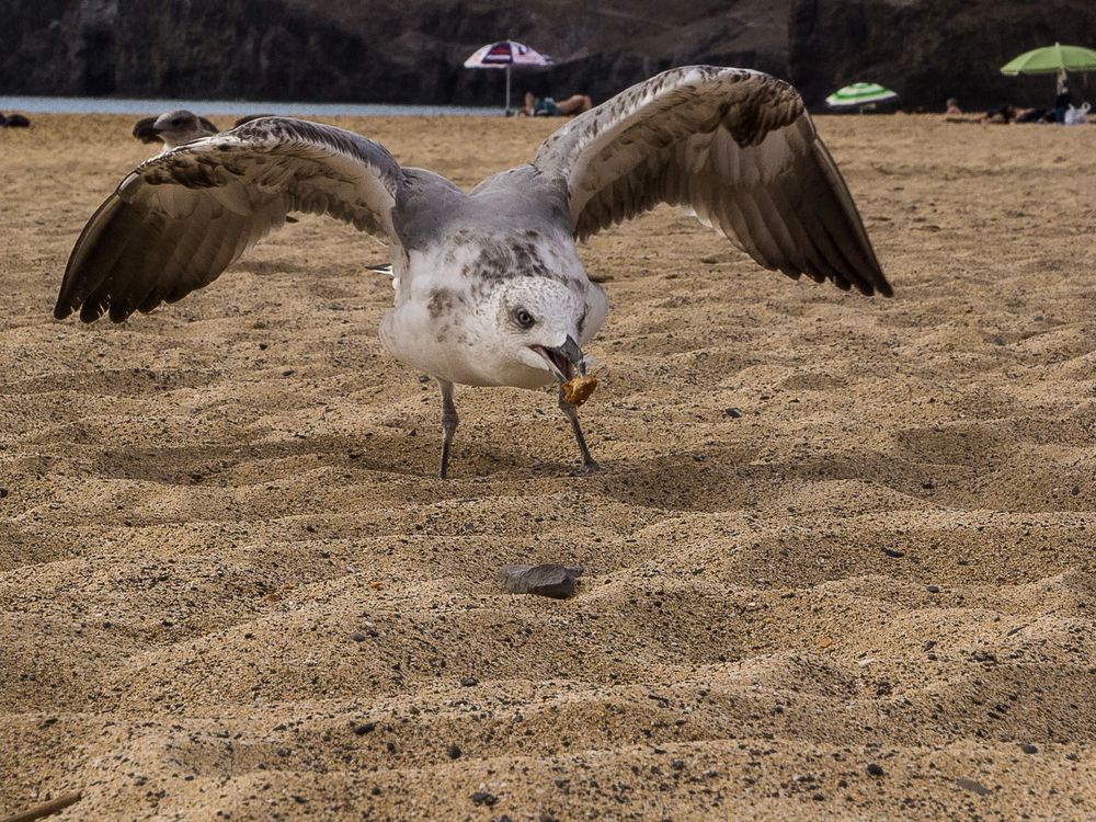 Strandbesucher