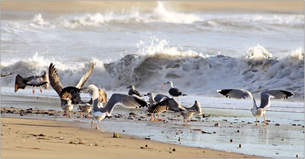 Strandbesucher