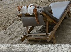 Strandbesucher