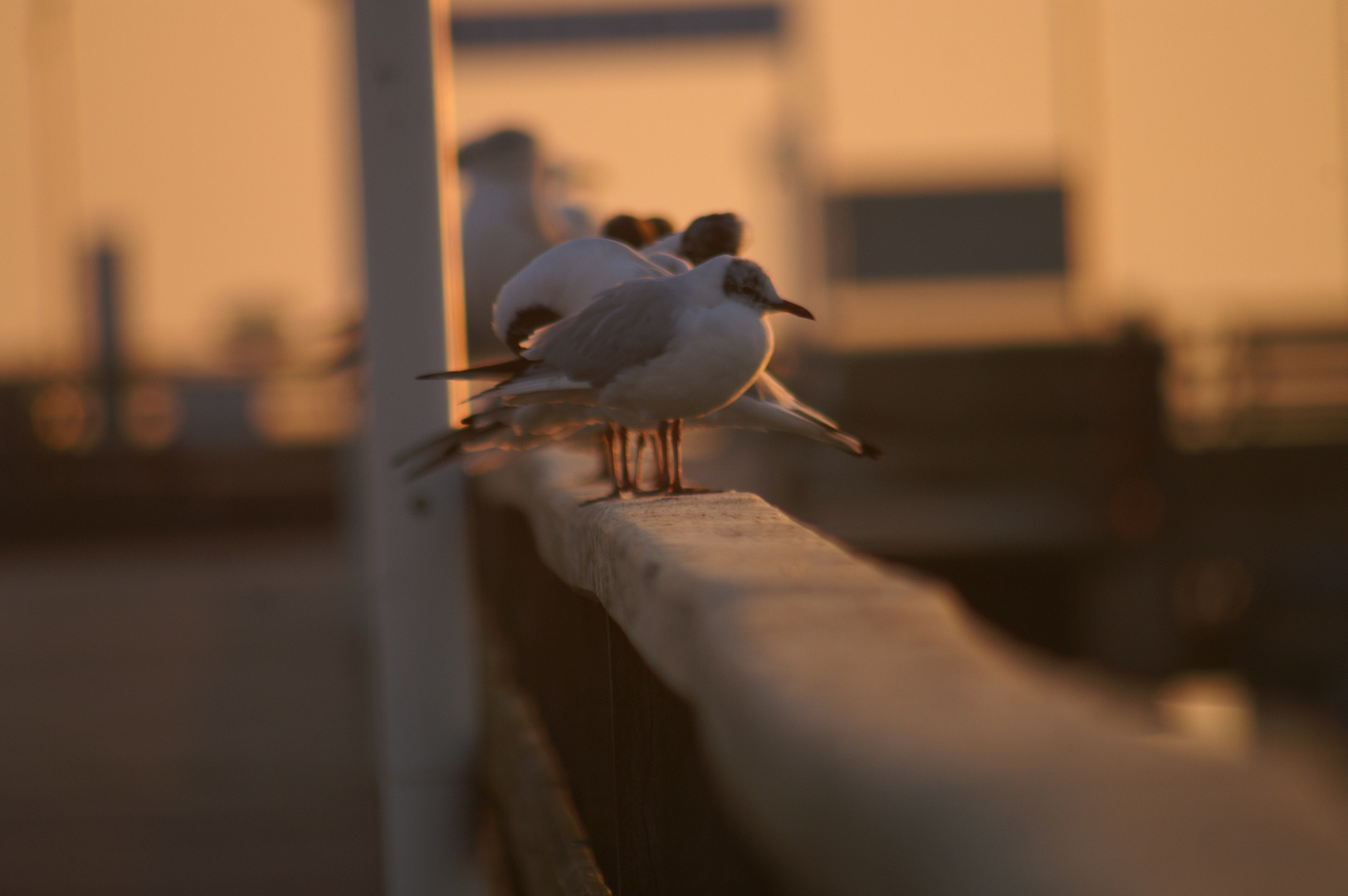 Strandbesucher