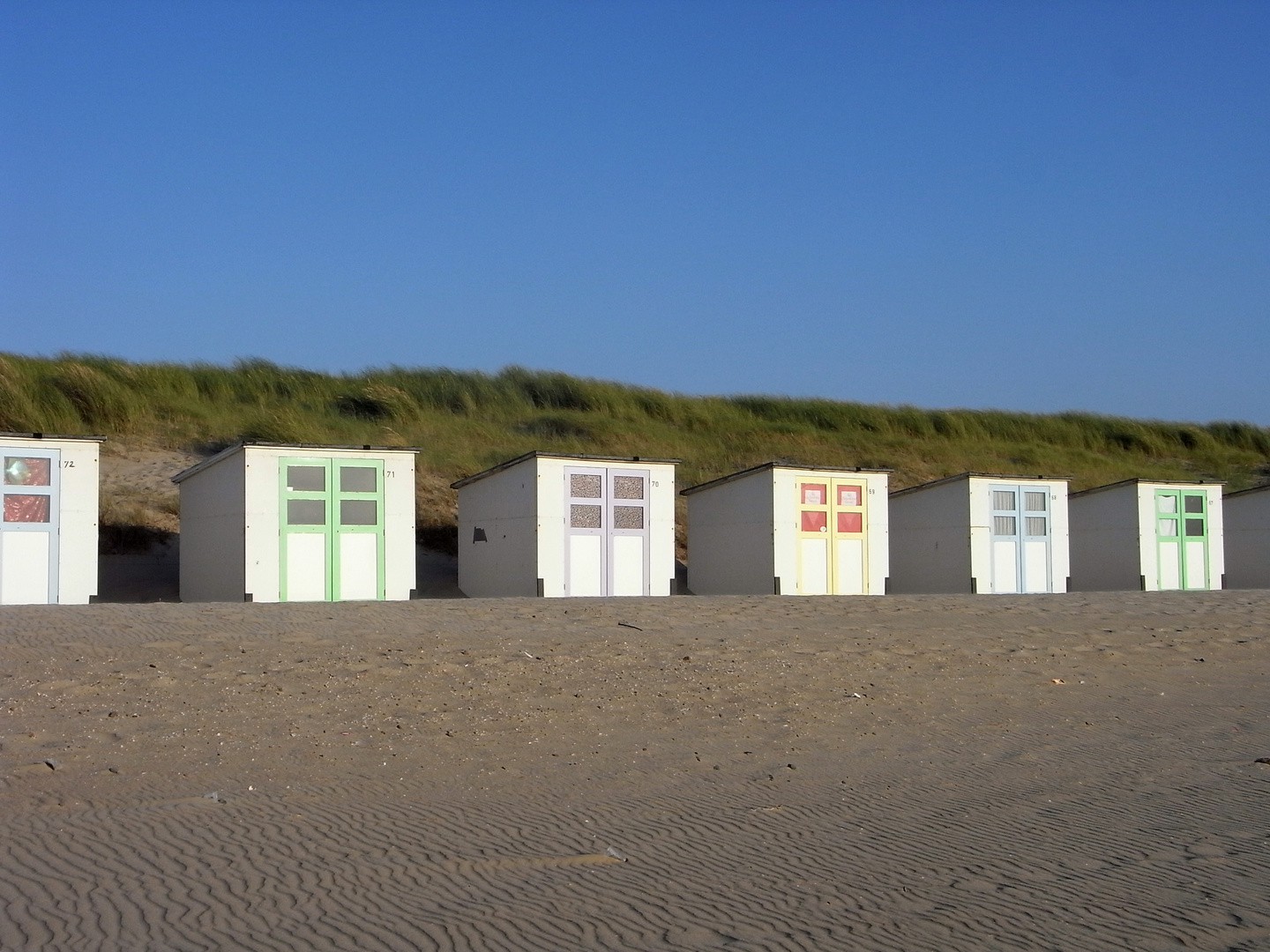 Strandbewohner!