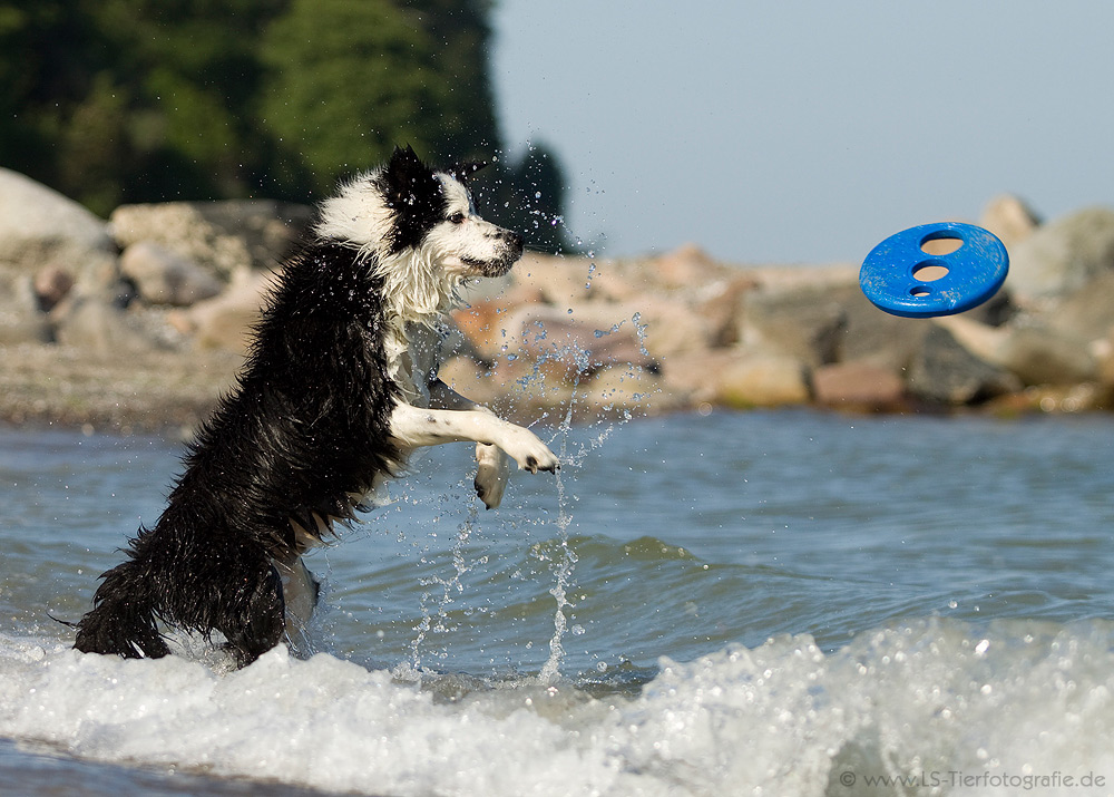 Strandbilder gehen immer