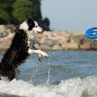 Strandbilder gehen immer