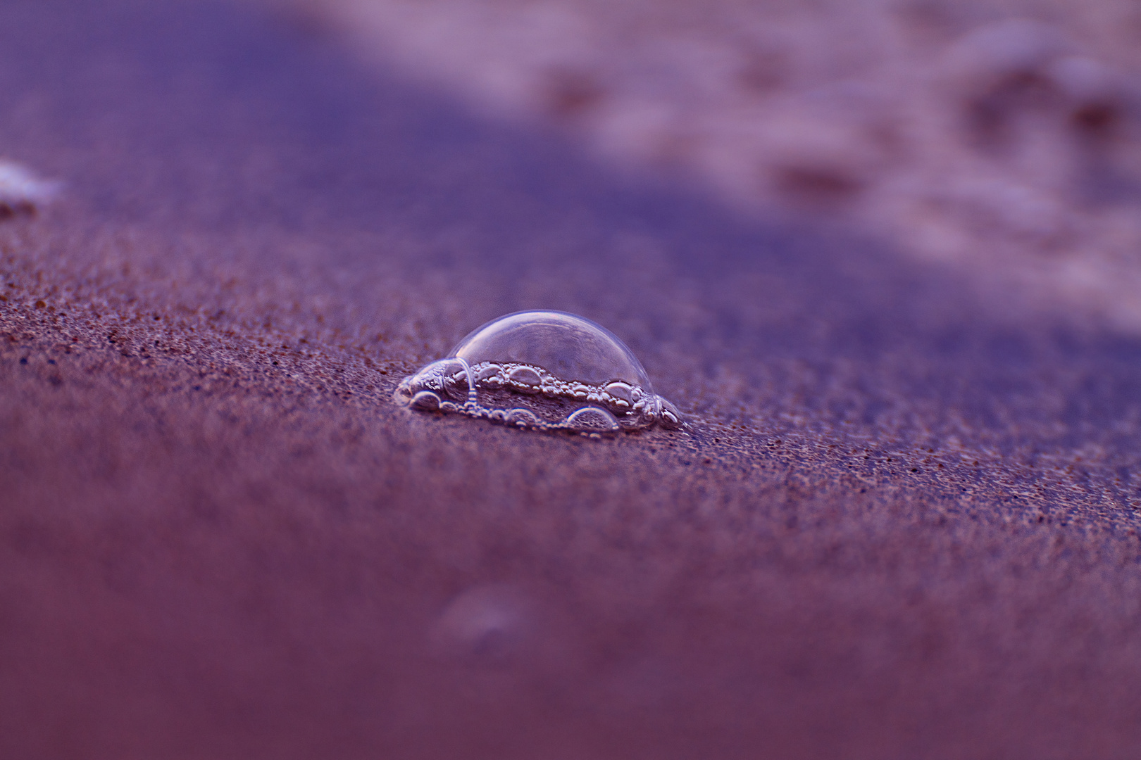 Strandbläschen