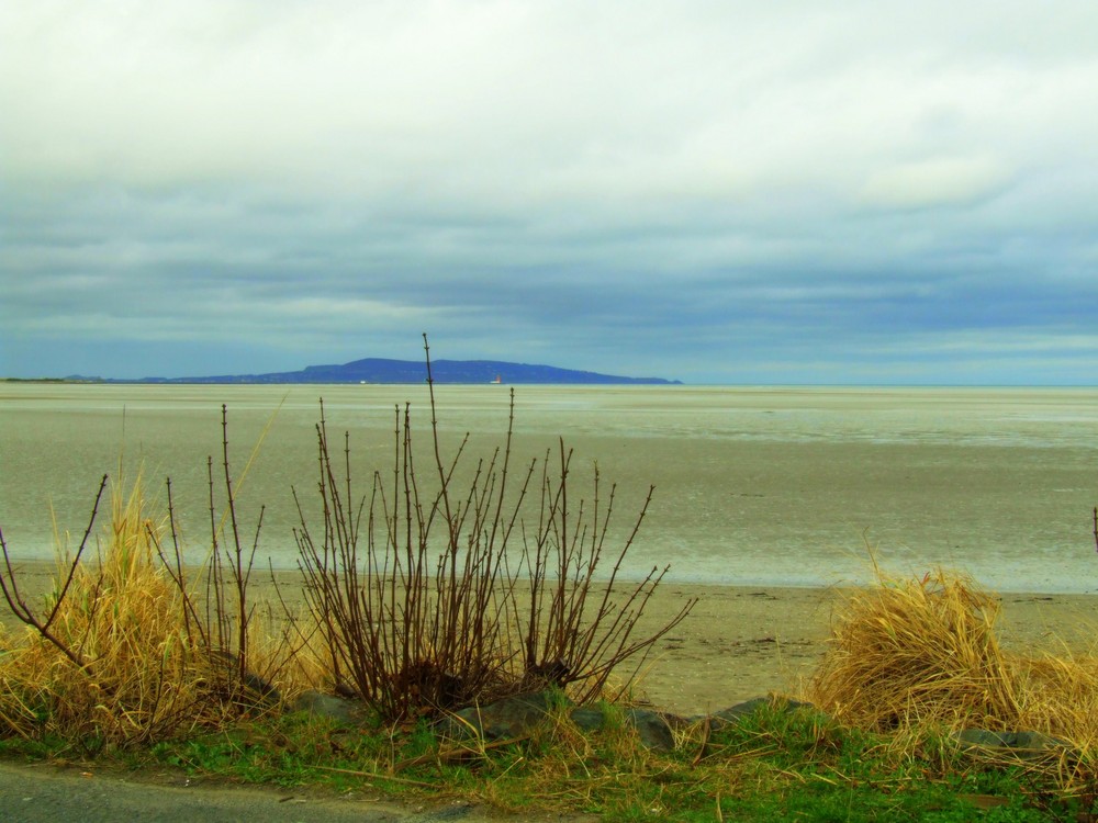 Strandblick bei Ebbe