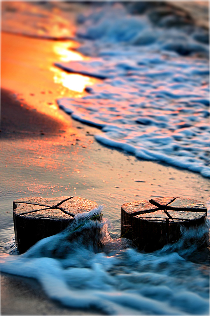 Strandbuhne im Sonnenuntergang