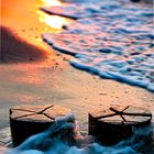 Strandbuhne im Sonnenuntergang