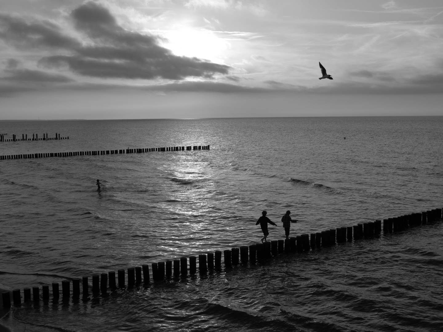 Strandbuhnen