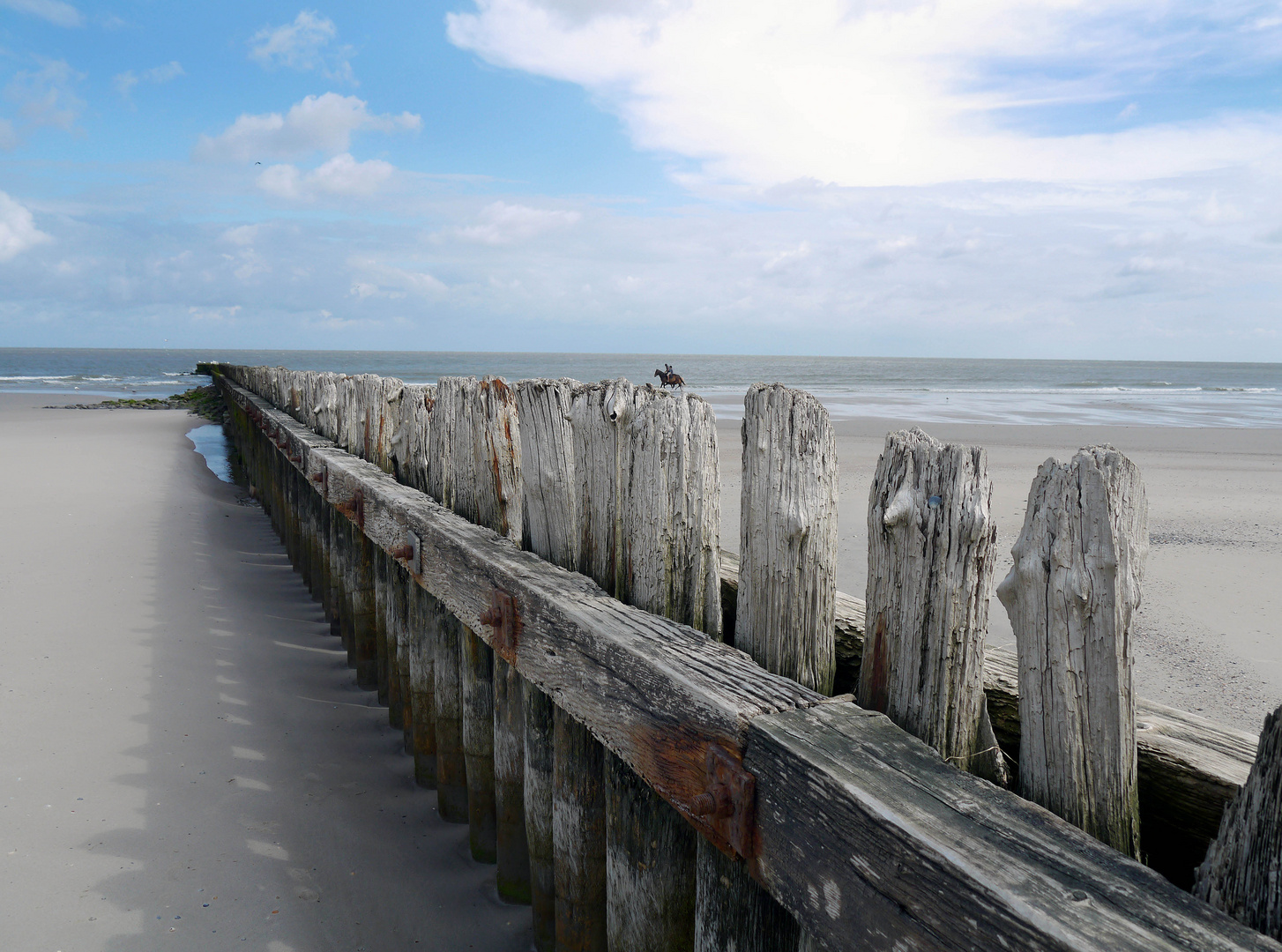 Strandbuhnenwand