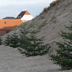 Strandchristmas in DK