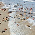 Stranddetail auf Usedom - 2