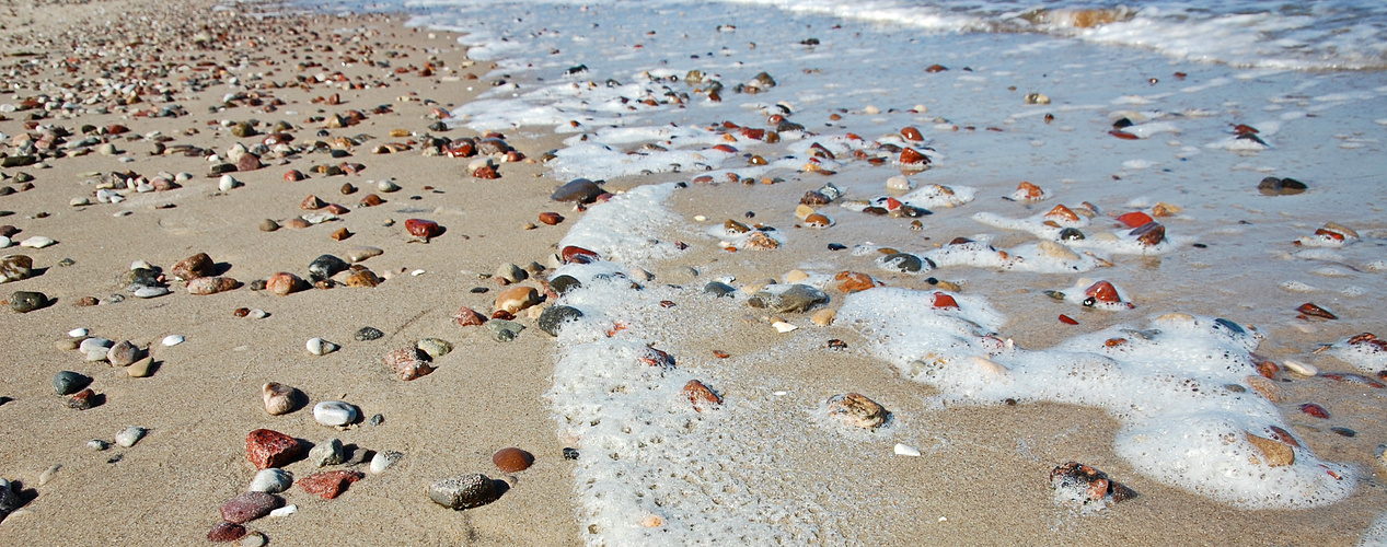 Stranddetail auf Usedom - 2