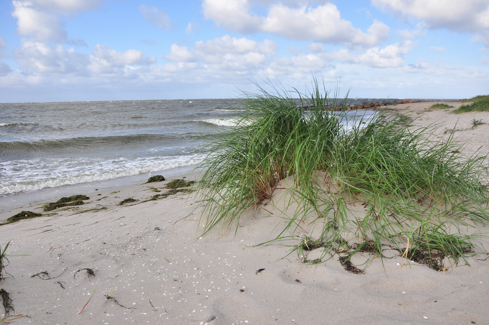 Stranddüne